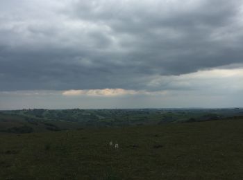 Trail Walking Hasparren - Haitzeder boucle - Photo