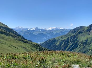 Tocht Mountainbike Beaufort - Du lac de Sant Guerin au col de Coin - Photo