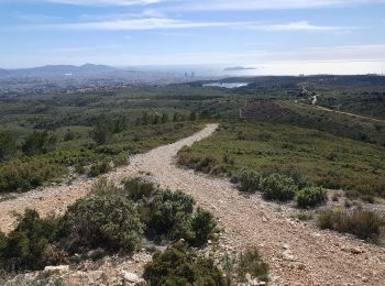 Randonnée Marche Marseille - Grande étoile  - Photo