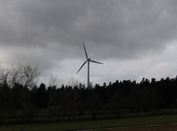 Tour Zu Fuß Unterreichenbach - Unterreichenbach - Langenbrand - Photo