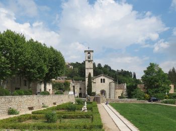 Tocht Te voet Valbonne - Circuit du Bruguet - Photo