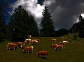 Trail On foot Aschau im Chiemgau - Wanderweg 20 - Über die Kampenwand zum Geigelstein - Photo