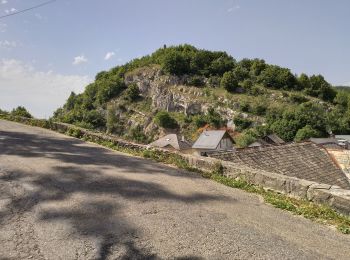 Randonnée Marche Entrelacs - Bellevedere de la Chambotte  - Photo