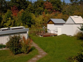 Trail On foot Altenbamberg - VITALtour Rheingrafenstein - Photo