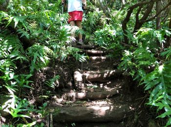 Randonnée Marche Saint-Pierre - Piton Mont Vert 20190217 SH - Photo