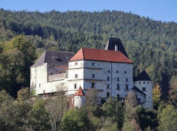 Randonnée A pied Feistritz am Wechsel - Feistritz am Wechsel - Hollabrunn über Steinbichel - Photo