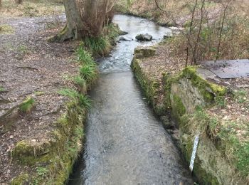 Trail Walking Auffargis - Pont de granval Auffargis  - Photo