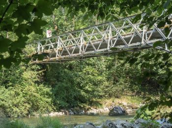 Randonnée A pied Menzingen - Spitzen-Sihlsprung - Photo