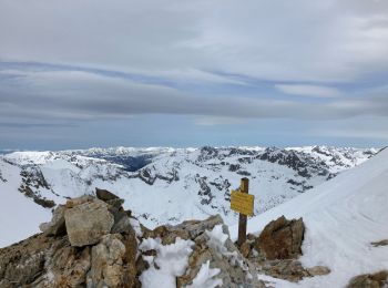 Randonnée Ski de randonnée Saint-Martin-Vésubie - Tout du Brocan - Photo