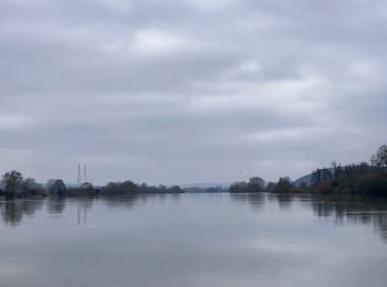 Tour Wandern Port-Mort - Port mort - Photo