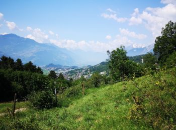 Tocht Noords wandelen Arbaz - 25.06.20 Bisse de Grimisuat  - Photo