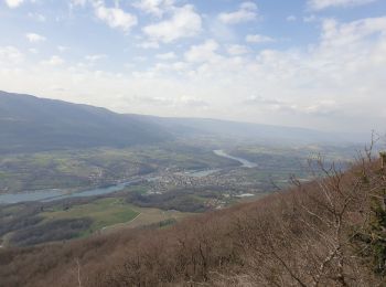 Trail Mountain bike Vallières-sur-Fier - seyssel  - Photo