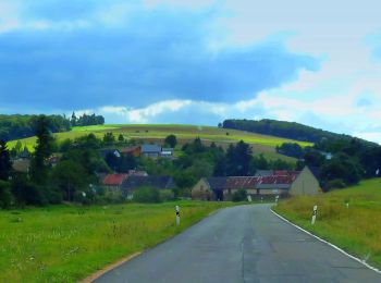 Randonnée A pied Tiefenthal - Hiwweltour Tiefenthaler Höhe - Photo