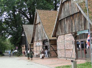 Tour Zu Fuß Wunstorf - S1 Ufer-Moorwiesenweg (Steinhuder Rundweg) - Photo