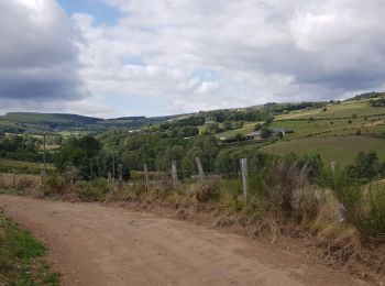 Randonnée Marche nordique Trélans - Trélans Aubrac - Croix du Pal  - Photo