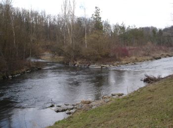 Tour Zu Fuß Niederglatt - Niederglatt - Station Glattfelden - Photo