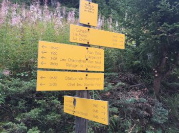 Trail Walking Sainte-Foy-Tarentaise - Le Monial lac du clos en boucle randonnée très facile - Photo