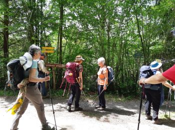 Trail Walking Asson - ASSON Igon Touyas de Capsus 