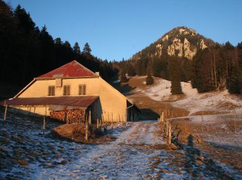 Excursión A pie Sainte-Croix - La Gittaz-Col de l'Aigullon - Photo