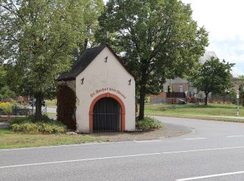 Randonnée A pied Sehlem - Mühlenweg - Photo