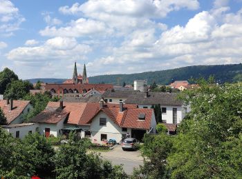 Tocht Te voet Beilngries - Über den Altmühlberg - Photo