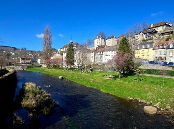 Excursión Senderismo Aubusson - Itinérant Millevaches 2025 E1 Aubusson Banize - Photo