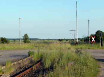 Excursión A pie Meldorf - Wanderwege in und um Meldorf Tour 17 - Photo