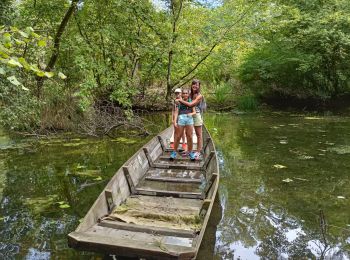 Tour Wandern Rheinau - ile de rhinau2 - Photo