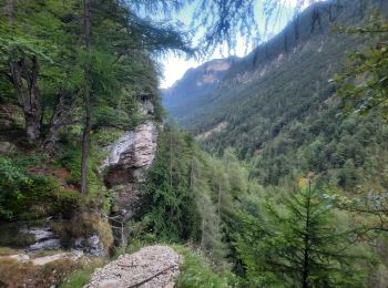 Tocht Stappen Kranjska Gora - pericnik excursion - Photo
