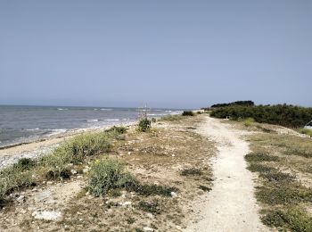 Tocht Mountainbike Sainte-Marie-de-Ré - 17-vtt-ste-marie-rivedoux-la-flotte-st-martin-39km - Photo