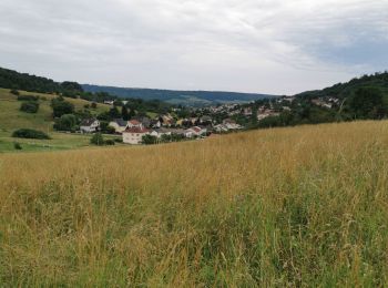 Tocht Stappen Chavigny - De Ludres à Chavigny par le Bois de la Grande Fraize - Photo