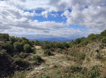 Tour Wandern Massa Martana - castelvecchio-Torri-Castelvecchio en passant par les carrières dans la forêt et la route de Grutti - Photo