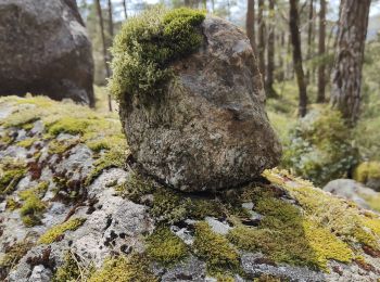 Tour Wandern  - PREIKESTOLEN et MOSLIFJELLET - Photo