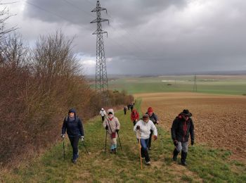 Tocht Stappen Laines-aux-Bois - Laine au bois - Photo