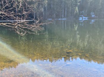 Tour Wandern Vexaincourt - lac de la Maix - Photo
