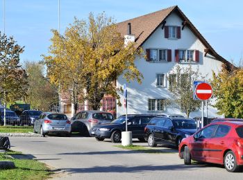 Randonnée A pied Pfäffikon - Pfäffikon - Seegräben - Photo