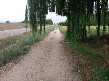 Trail Walking Boadilla del Camino - Villalcazar de Siga - Photo