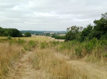 Tocht Mountainbike Coincy - Sortie du 31 Juillet 2022 - Photo