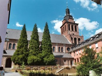 Tour Zu Fuß Sulzbach/Saar - Brennender Berg – Großer Rundweg - Photo