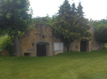 Tour Zu Fuß Hundsheim - Ortsrunde (Rundwanderweg) - Photo