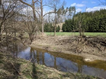 Excursión A pie Baliny - naučná stezka propojení Balinského a Nesměřského údolí - Photo