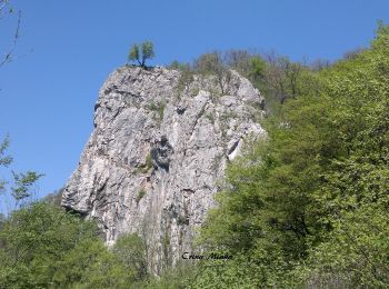 Tour Zu Fuß  - Circuitul versantului drept - Photo