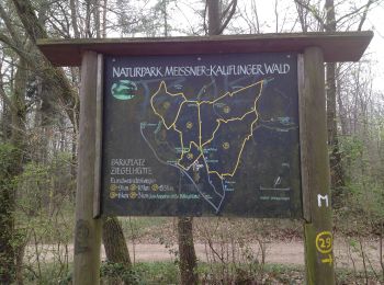 Tocht Te voet Kaufungen - Kaufungen, N2 - Panoramaweg - Photo