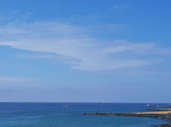 Tour Wandern Capbreton - Capbreton sentier des dunes  - Photo