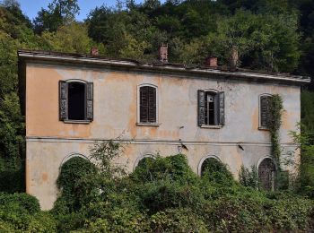 Tour Zu Fuß Dogna - Sentiero Umberto Pacifico - Photo