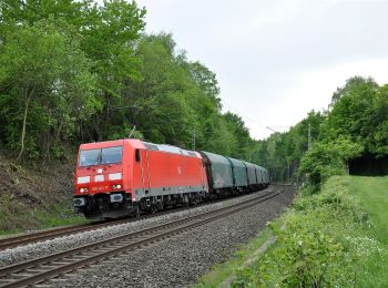 Percorso A piedi Langerwehe - Langerwehe Wanderrundweg Nr. 11 - Photo