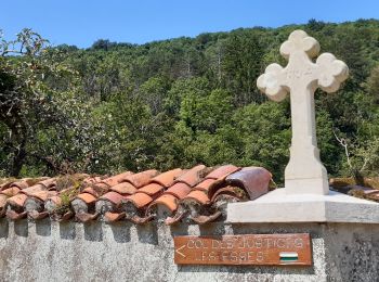 Tour Wandern Val-Revermont - Cuisiat, Pouillat, Nivigne, Rosy, col des justices - Photo