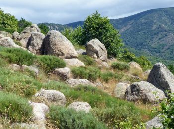 Excursión Senderismo Sablières - Pont du Mas - Boules de Gargantua - Photo