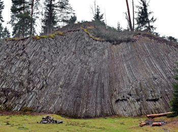 Excursión A pie Rotava - Naučná stezka Rotavské varhany - Photo