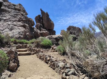 Tour Wandern La Orotava - Les Roches de Garcia - Photo